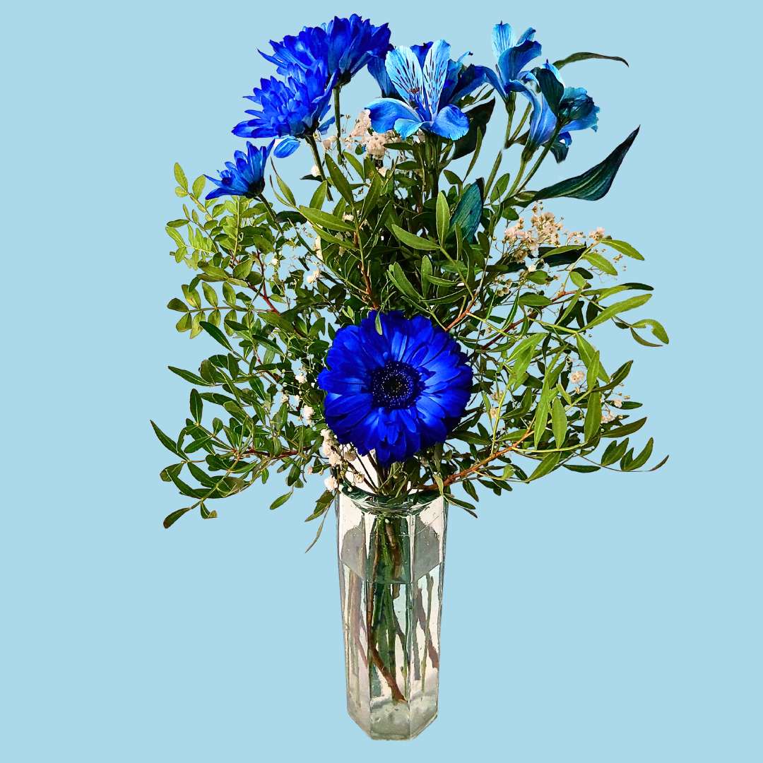 Mr blue