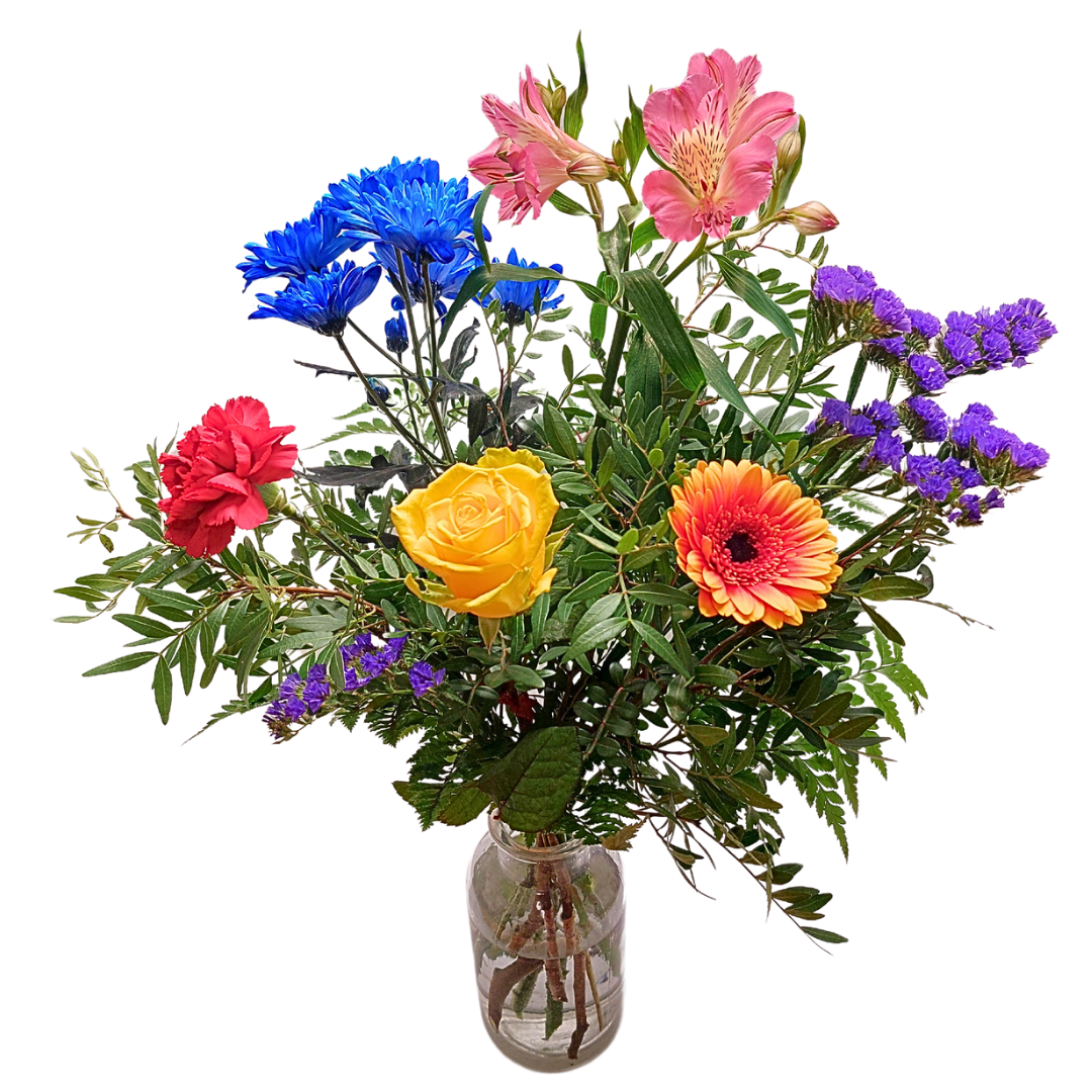 Gleðisprengjan - Reykjavíkurblóm