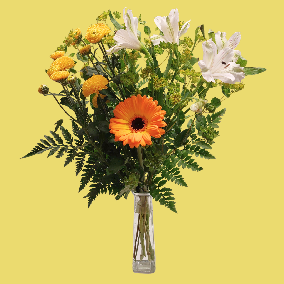 Bjartir tímar - Reykjavíkurblóm