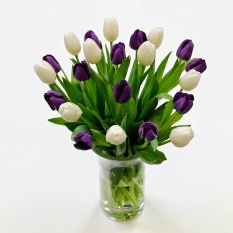 Túlípanavöndur Miðstærð - Reykjavíkurblóm