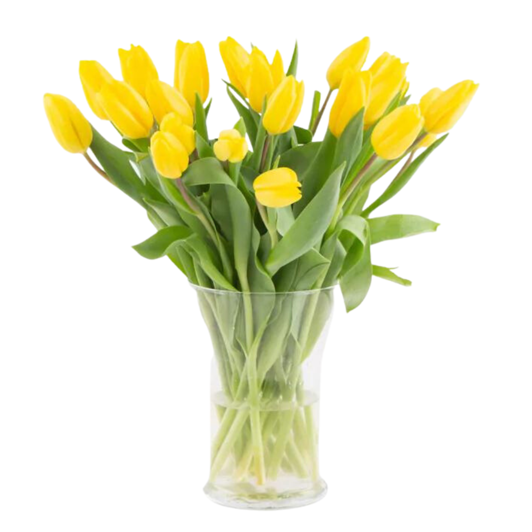 Túlípanavöndur miðstærð - Reykjavíkurblóm