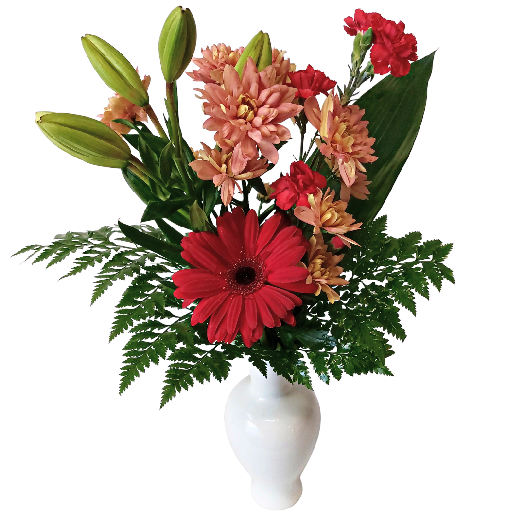 Velvild - Reykjavíkurblóm