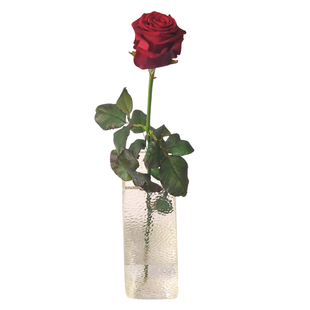 Red roses 60cm – Reykjavíkurblóm