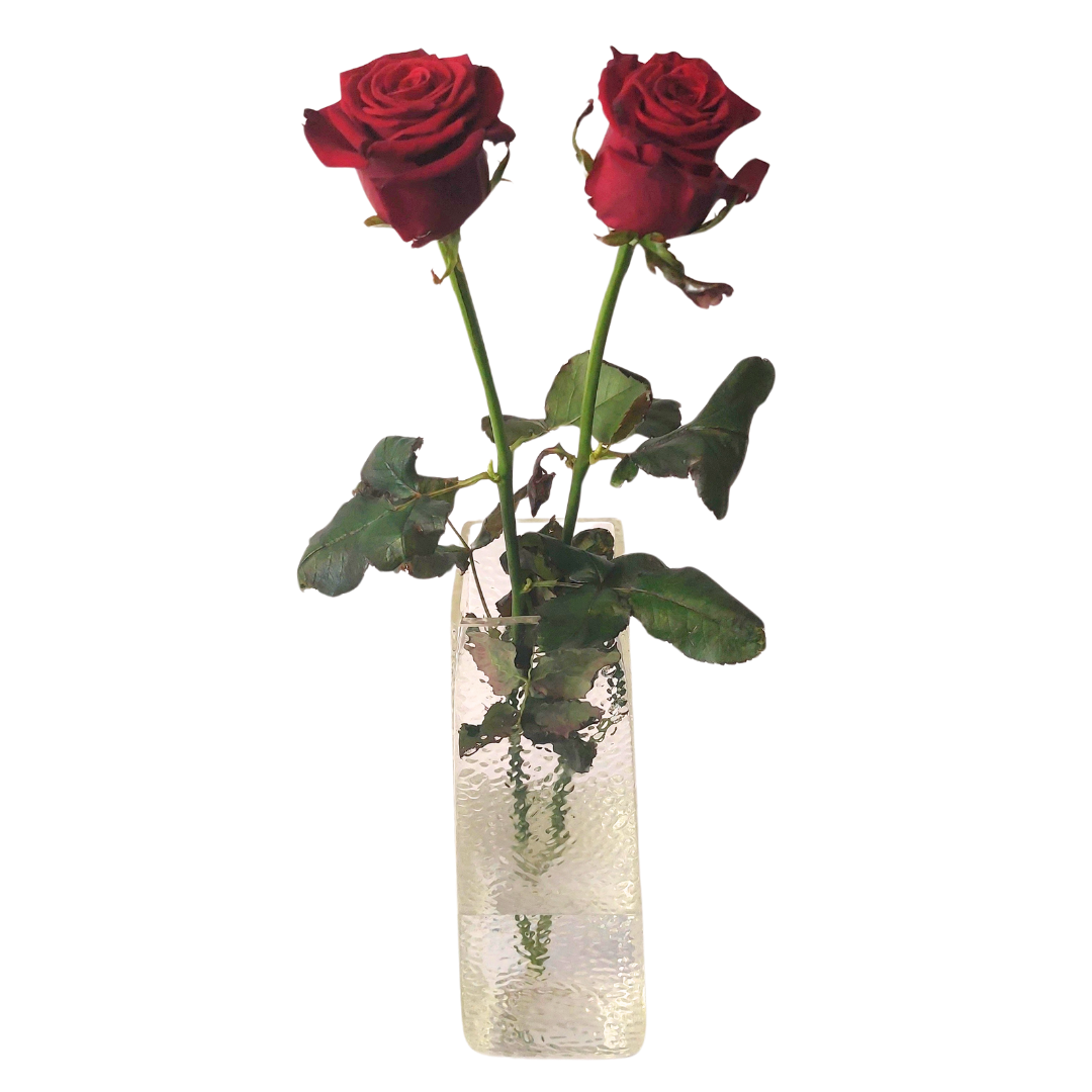 Red roses 60cm – Reykjavíkurblóm
