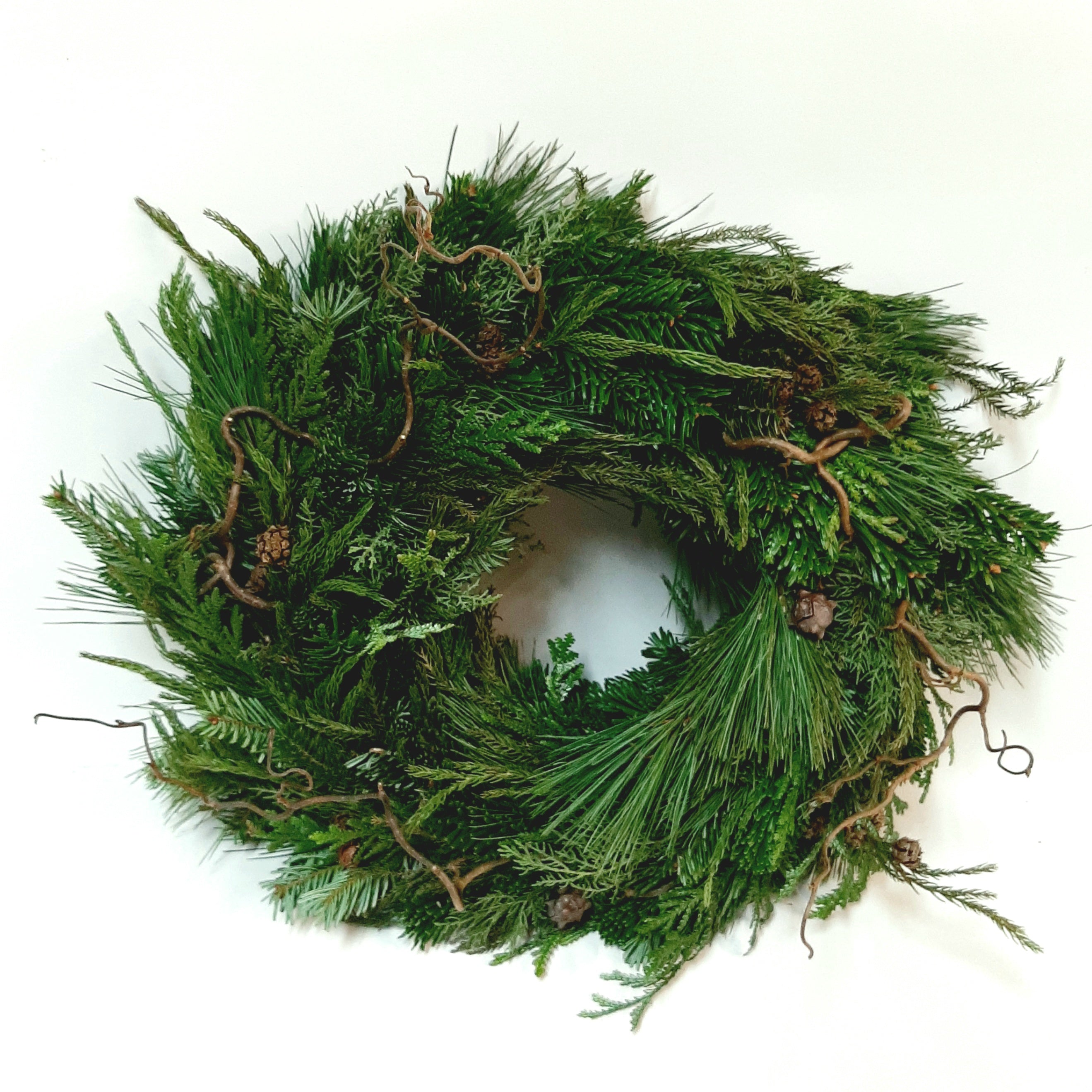 Grenikrans - Reykjavíkurblóm