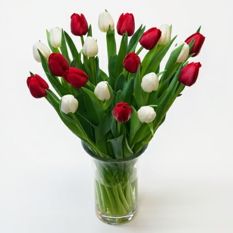 Túlípanavöndur Miðstærð - Reykjavíkurblóm