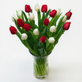 Túlípanavöndur Miðstærð - Reykjavíkurblóm