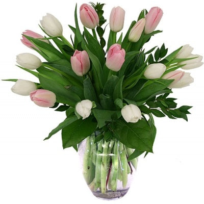 Túlípanavöndur Miðstærð - Reykjavíkurblóm