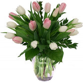 Túlípanavöndur Miðstærð - Reykjavíkurblóm