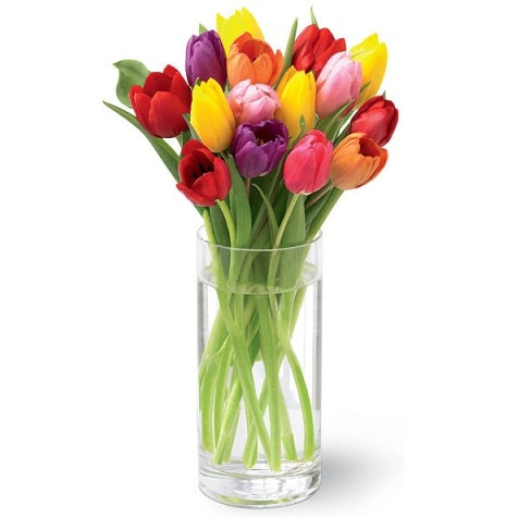 Túlípanavöndur lítill - Reykjavíkurblóm