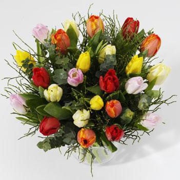 Túlípanavöndur stór - Reykjavíkurblóm